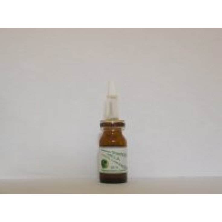 SIDEA STAMINALI UVA SIERO CONCENTRATO 10 ML